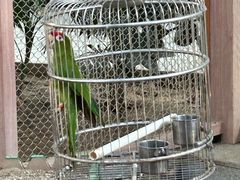 -南宫五洲植物乐园