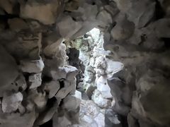-秋霞圃