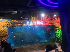 -太奥幻太奇海洋馆