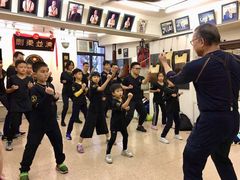 -温鉴良实用咏春拳