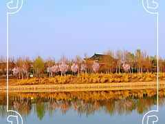 -临汾涝洰河生态公园