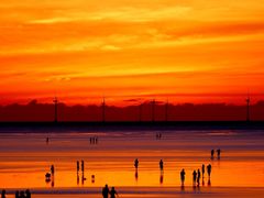 -南汇嘴观海公园