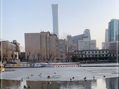 -团结湖公园