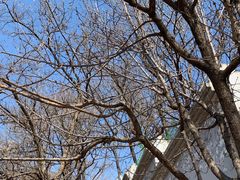 -北京西山国家森林公园