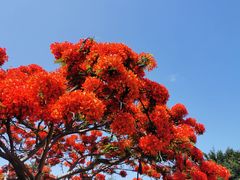 -大嶝英雄三岛战地观光园