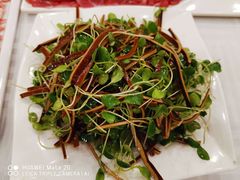 -常赢三兄弟·清真涮肉·清真炒菜(朝阳新城店)
