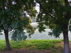 -北运河水利风景区