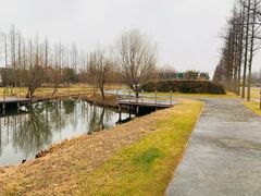 -前小桔亲子创意农场·草莓采摘·露营烧烤