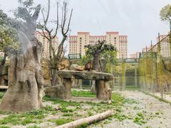 -上海野生动物园