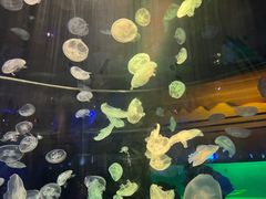 -华夏文旅西安度假区