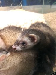 -酷嗒动物文化乐园(cutezoo西溪乐天城店)