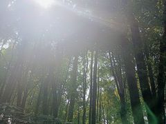 -东湖落雁景区