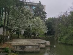 -绍兴鉴湖君澜大酒店