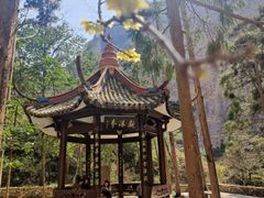 -雁荡山大龙湫景区
