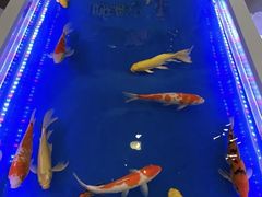 -盐城大有境(解放南路店)