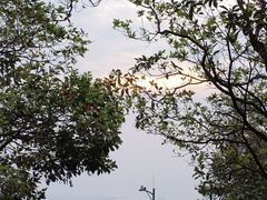 -梧桐山风景名胜区