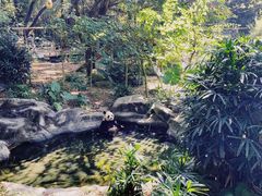 -深圳野生动物园