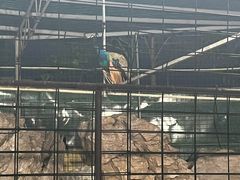 -八景休閒山莊  廣東十大名山莊