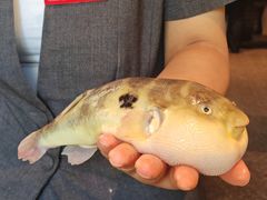 -永安鱼庄·镇江菜(东吴路店)