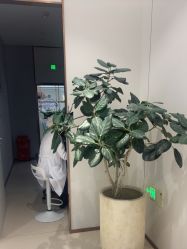 -禾丽康美医疗美容医院
