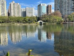 -四海公园(南山区)