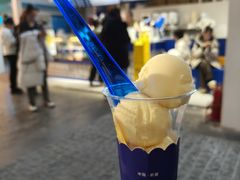 -西琳姑娘·新疆冰淇淋酸奶茶(南开大悦城店)
