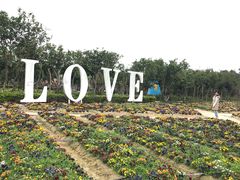-广东花都香草世界旅游度假区