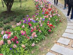 -上海鲜花港