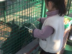 -同里湖度假村(二期店)