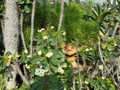 -国家植物园南园