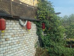 -慢丽江·云南野生菌土鸡锅(付家庄店)