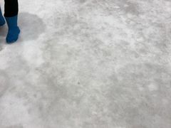 -Mr·Kuma酷么先生雪之乐园