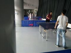 -深圳市南山文体中心-羽毛球馆