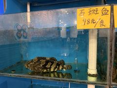 -盈田盈粥庄(博山东路店)