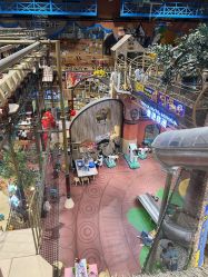 -卡通尼·Safari非洲探索乐园·生日会(金桥国际商业广场店)