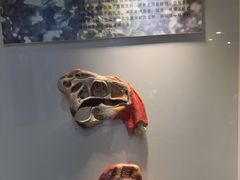 -世界恐龙谷景区