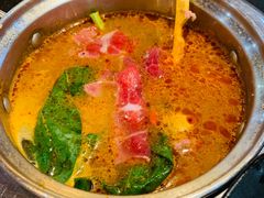 -龍歌自助小火锅(崂山丽达店)