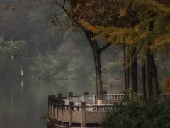 -重庆彩云湖湿地公园