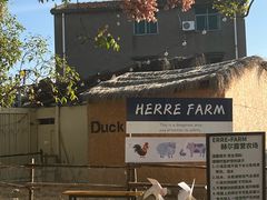 -HERRE·FARM 赫尔露营农场·团建聚会包场