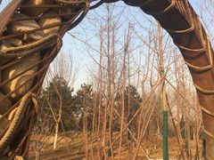 -回龙观体育文化公园