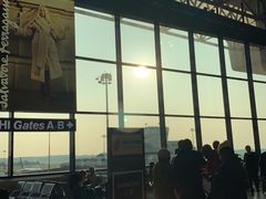 -米兰马尔彭萨国际机场