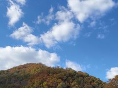 -天女山森林公园