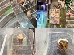-正佳雨林生态植物园