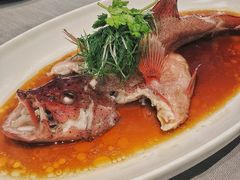 -子福慧(虹桥店)