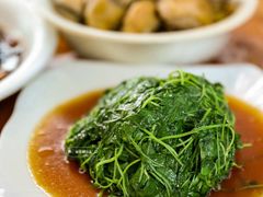 炒金花菜-小春农家乐