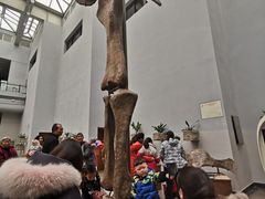 -自贡恐龙博物馆