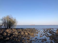 -上海吴淞炮台湾国家湿地公园