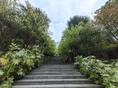 -贵阳市花溪国家城市湿地公园