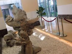 -逸林轩中餐厅(中信泰富朱家角锦江酒店)
