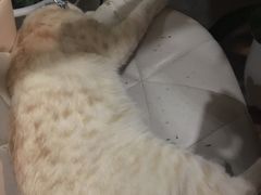 -小时光咖啡馆(北锣鼓巷店)
